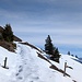 Kurz oberhalb der Waldgrenze.