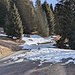 Bereits auf 1300 m ü. M. habe ich ein paar kleine Schneefelder vorgefunden.