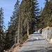 Es gab nur vereinzelte Stellen ohne Schnee, wie hier auf dem Bild.