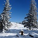 ...und herrlische, sonnenbeschiene Schneeflächen auf dem Weg zur Schöckl-Kapelle