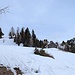 Ich habe die Schneeschuhe erst hier in Foppa auf etwa 1900 m ü. M. montiert.