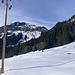 Rückblick auf den Plattnerberg - Diese Wiese unterhalb der Felsabbrüche