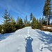 Nur im Bereich der Gipfelkalotte gibt es auf meiner heutigen Wanderung etwas Schneestapferei - sie hält sich aber in Grenzen. Schneeschuhe braucht es nicht.