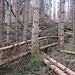 Kreuz und quer