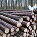 Die Erstürmung des Baumstammstapels