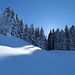 Paysage féérique sur le Tannenpfad