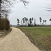Schöne und breite Wanderwege.