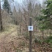 Hier beginnt der Friedwald.