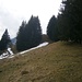 Die letzten Meter zum Tisner Kopf