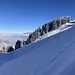 Anstieg nach Oberteil;
Rigi Kulm guckt grad noch hervor