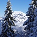 Durchblick zum Buochserhorn