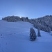 wir sind nicht die einzigen Winterwanderer