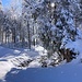 ... am Steinibach