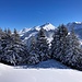 auch hier ein feiner winterlicher Ausblick zur Brisengruppe ...