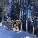 der Eingang zur markierten Schneeschuhtour westlich der Gummenalp