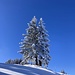 schmuckes Horn