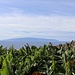 Bananenblick nach La Gomera