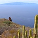 im Süden La Gomera
