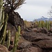 Blick zum Teide