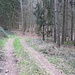Dieser Weg führt zum Hirschberg, biegt dann aber nach rechts ab. Ich gehe stattdessen weglos geradeaus weiter auf den Höhenrücken mit den Felsen.