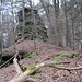 Weiter auf dem Höhenrücken erreiche ich den mittleren der drei Hirschbergfelsen, einen frei stehenden Turm.
