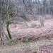 Jetzt erreiche ich den Wanderweg in einem Wiesental südlich des Hirschbergs. Gleich werde ich das Tal überqueren und zum südlichen Nachbarberg weitergehen.