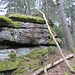 Die oberste Gipfel-Stufe weigerte sich aber, mich ganz hinauf zu lassen, und wehrte sich mit Moos und feuchtem rutschigen Sandstein.