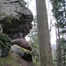 Jetzt bin ich wieder am oberen Ende des Hauptmassivs des Rappenfelsens. Hier gäbe es tatsächlich eine interessante Klettermöglichkeit, entlang eines abdrängend geneigten Bandes weiter nach vorne zu gelangen. Der Einstieg ist im Foto geradeaus und dann weiter unter dem Überhang. Hikr-Kollege NikBrückner hat diese Route begangen und in seinem [tour186230 Bericht] vorgestellt. Mir war es heute zu feucht und rutschig.