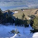 Tiefblick auf den Küssnachtersee während unseres Rückmarsches