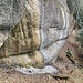 ... und Eiszapfensammlung unterhalb einer Felswand
