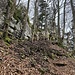Steil führt der Weg hinauf zur Roggenschnarz.