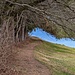 schöner Regen geschützter Wanderweg oberhalb Oberegg<br />