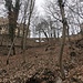 Im lichten, blätterlosen Wald gerät das Schloss ins Blickfeld.