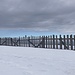 stets aufs Neue sehr stimmungsvoll - die Schnee- und Windschutzzäune auf der Stallflue