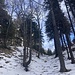 ein erst noch lauschiger Gang durch winterlichen Wald ...
