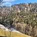 ... zum Bergrestaurant  Bettlachberg - mit Hinüberblick zur Bettlachstock