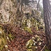 ziemlich erdig, rutschig zur Zeit