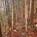 Pfad im Sattel auf 870m, den ich später für den Abstieg nehme