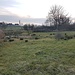 Blick auf das Naturschutzgebiet Weierwies unterhalb Weiningen, dahinter liegen die Häuser von Geissel auf einer Seitenmoräne des Thurgletschers, so wie die Kirche von Weiningen