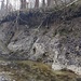 die Löcher stammen wohl von rausgefallenen Steinen. Typisch für Moräne ist, dass sie nicht nach Gesteinsgrösse sortiert ist.