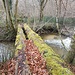 so parallel - wie natürlich ist diese Naturbrücke?