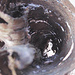 Abgespaltene, aufgefaltete, aufgesplitterte und aufgerolle Rinde... IV - Tunnelblick