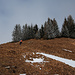 Weiter nach oben