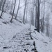 in salita verso l'Alpetto di Caviano