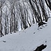 in salita verso l'Alpetto di Caviano