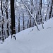 in discesa verso i Monti di Sant'Abbondio