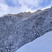 a mezzacosta verso l'Alpe Tempelina