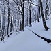 verso l'Alpe Tempelina, lungo la condotta idrica