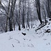 in salita verso l'Alpetto di Caviano
