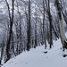 in salita verso l'Alpetto di Caviano